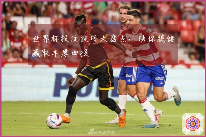 世界杯投注技巧大盘点，助你稳健赢取丰厚回报