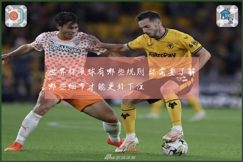 世界杯滚球有哪些规则 你需要了解哪些细节才能更好下注