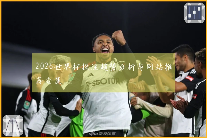 2026世界杯投注趋势分析与网站推荐合集