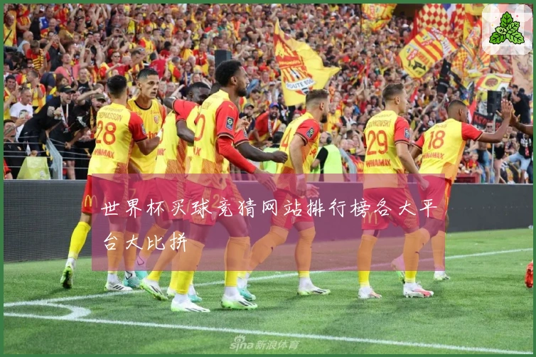 世界杯买球竞猜网站排行榜各大平台大比拼