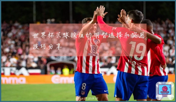 世界杯买球投注的明智选择和实用技巧分享