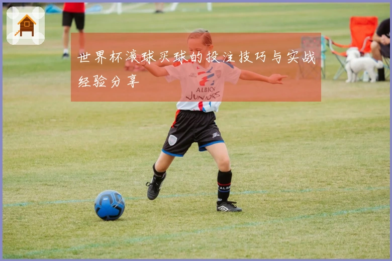 世界杯滚球买球的投注技巧与实战经验分享