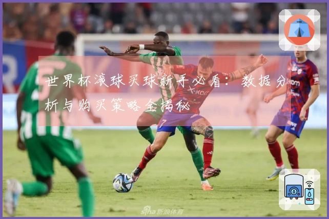 世界杯滚球买球新手必看：数据分析与购买策略全揭秘